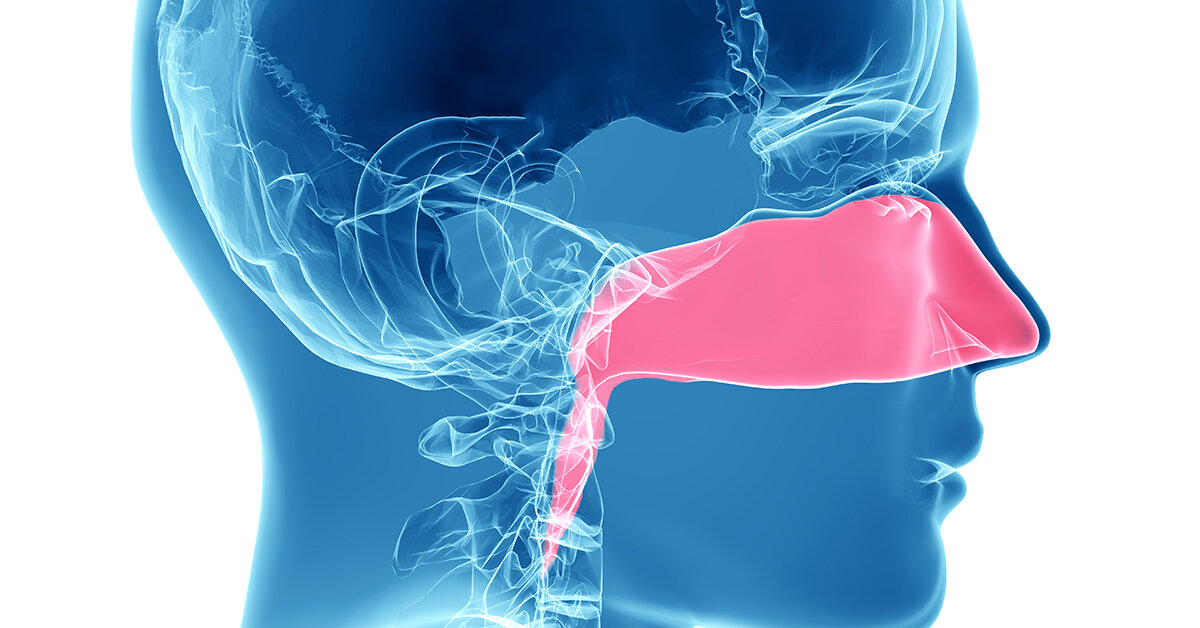 Среди причин потери обоняния может быть не только COVID-19, но и другие инфекционные заболевания 