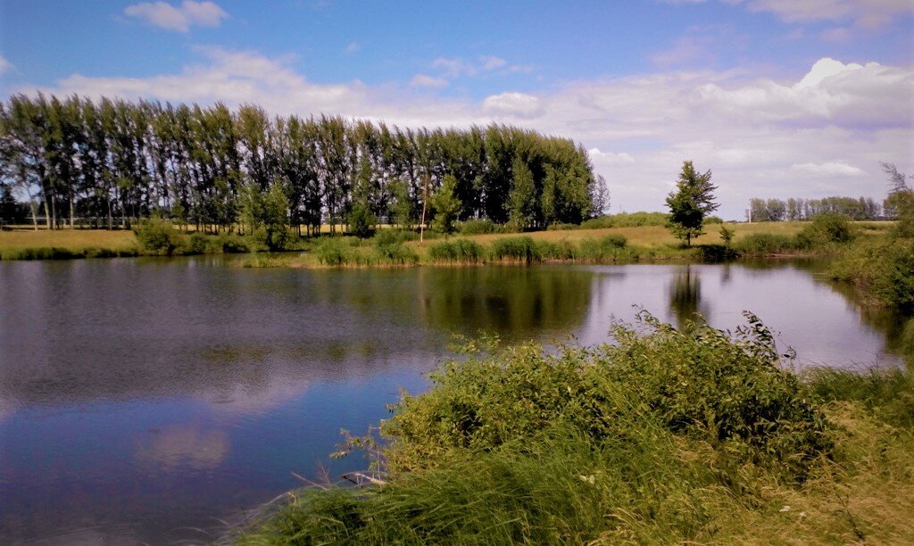 Водоём, в котором обитают наши лещи.