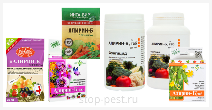 фото сайта https://stop-pest.ru