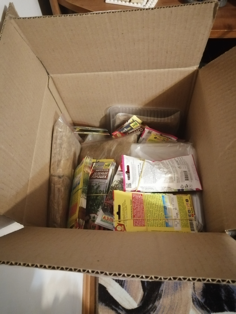 Вот такая интересная коробочка. Фото автора 