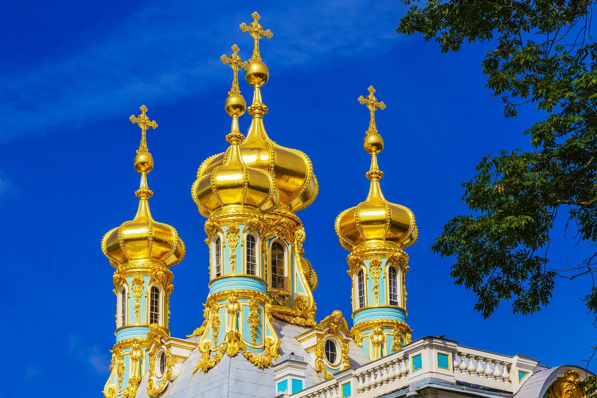 Фото из открытых источников Яндекс 