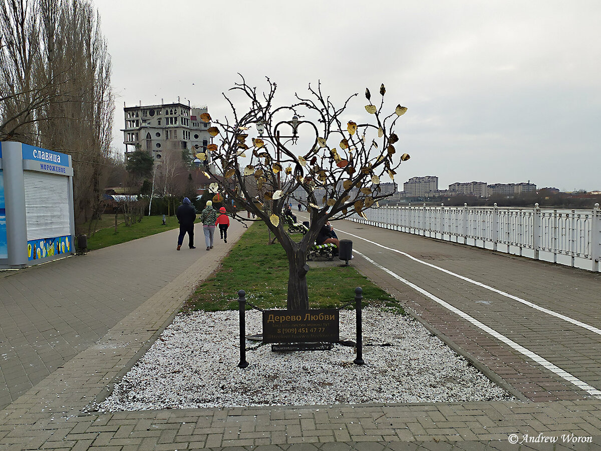 Дерево Любви у входа в парк