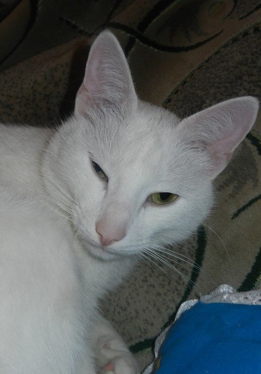 На передержке