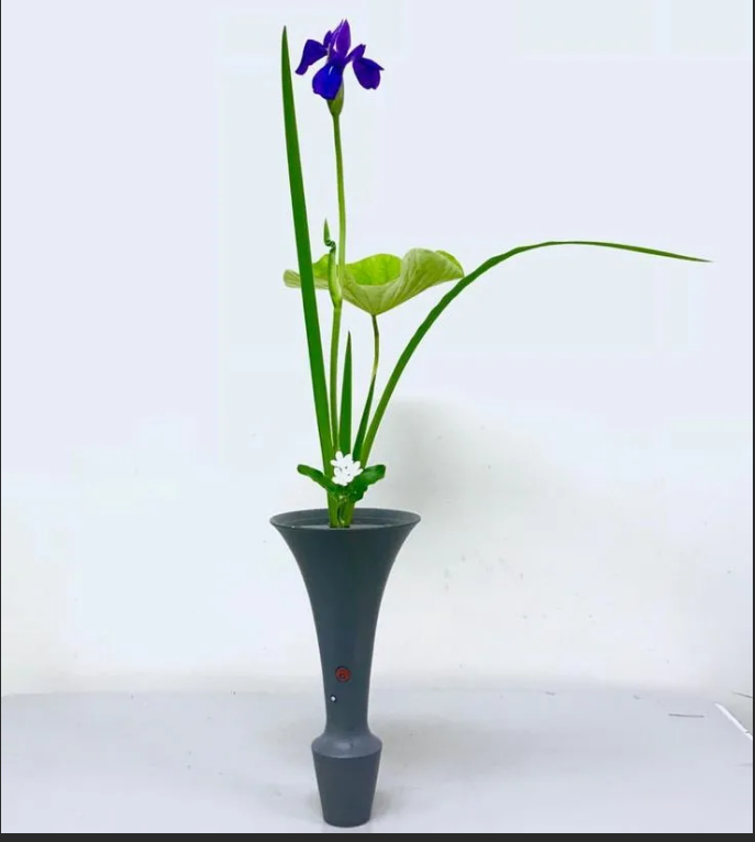 небо земля и человек японский космос