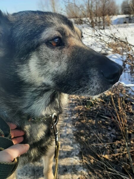 ЛУЧИК
