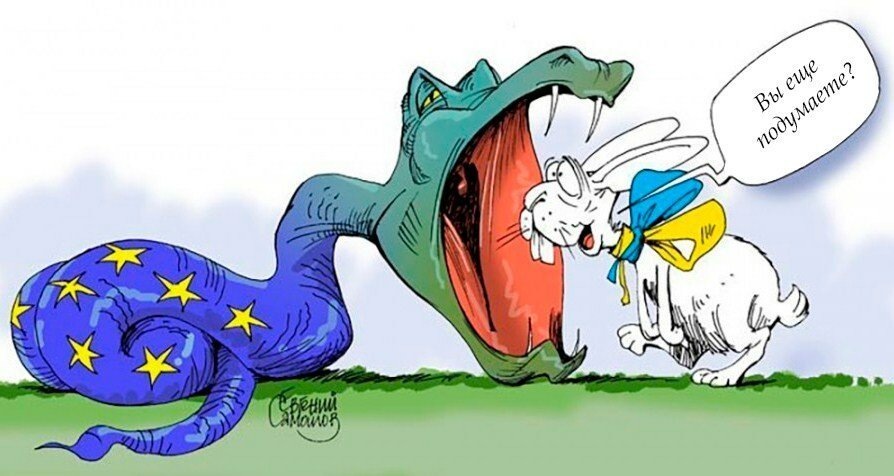 из открытых источников