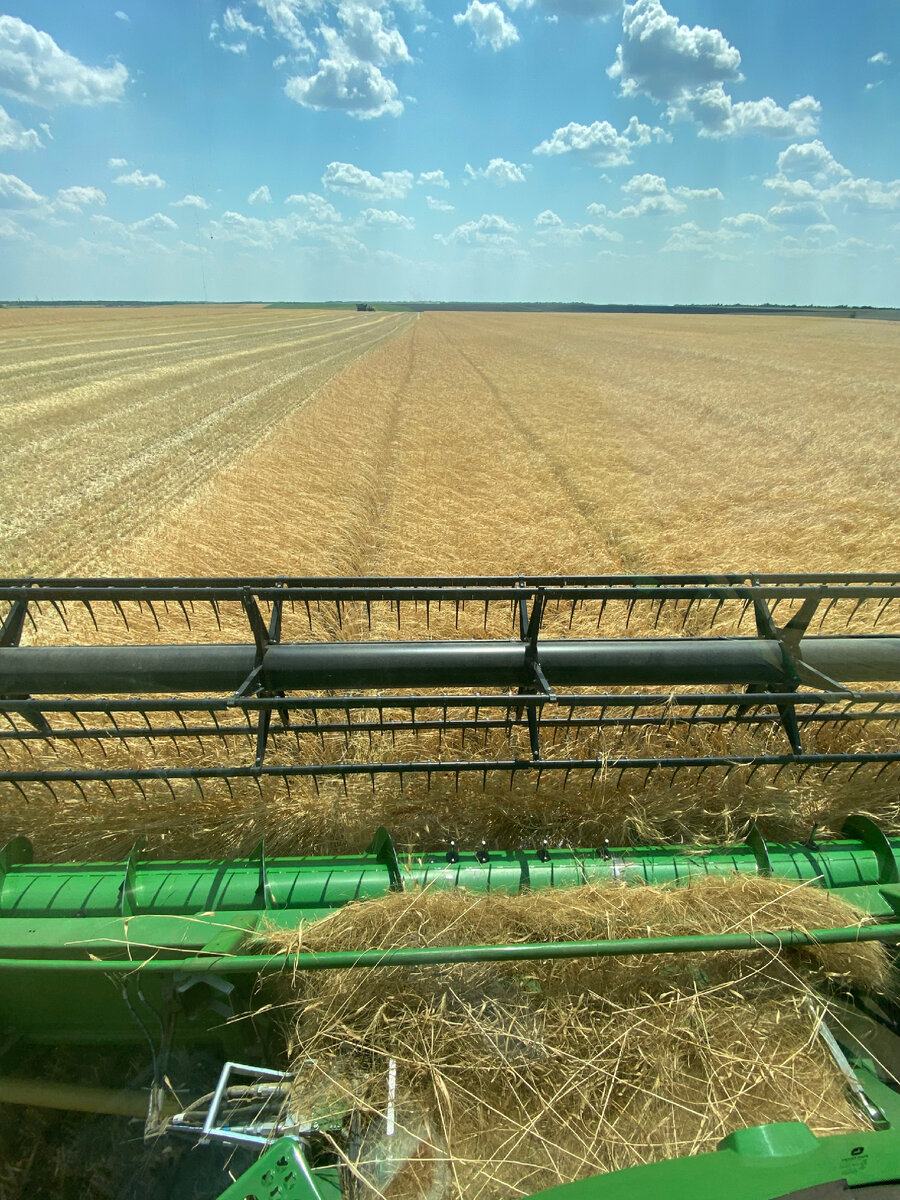 Работа на комбайне 👨‍🌾 