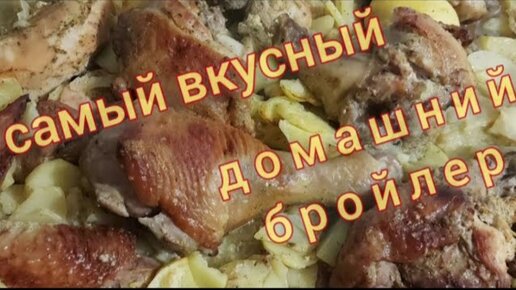 Мясо бройлеров жесткое