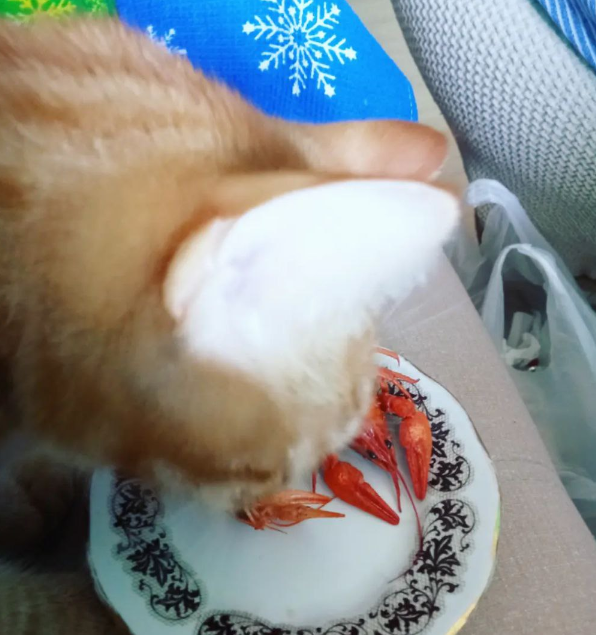 Ням! Разумеется, мне раков чистили, но интересно же разглядеть все воочию