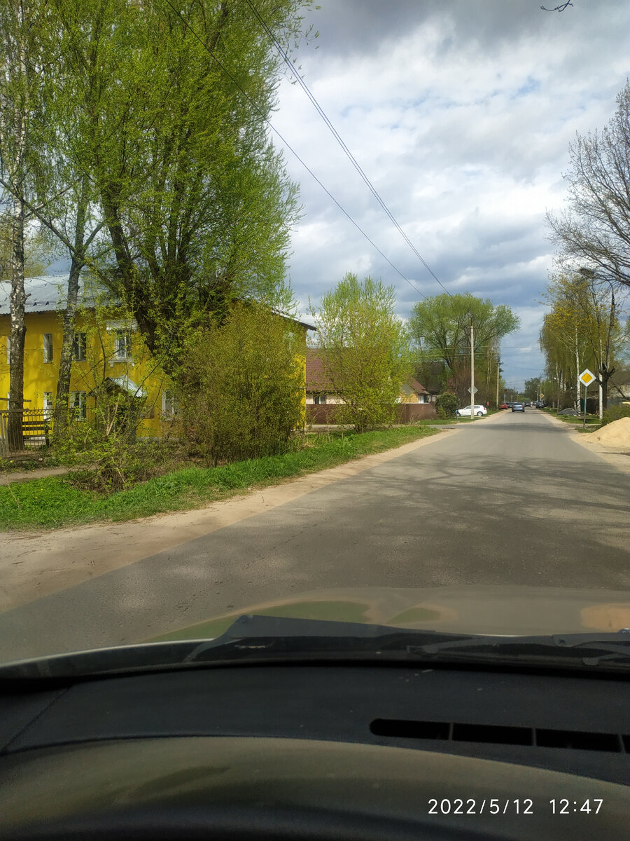 Первая нежная зелень на деревьях