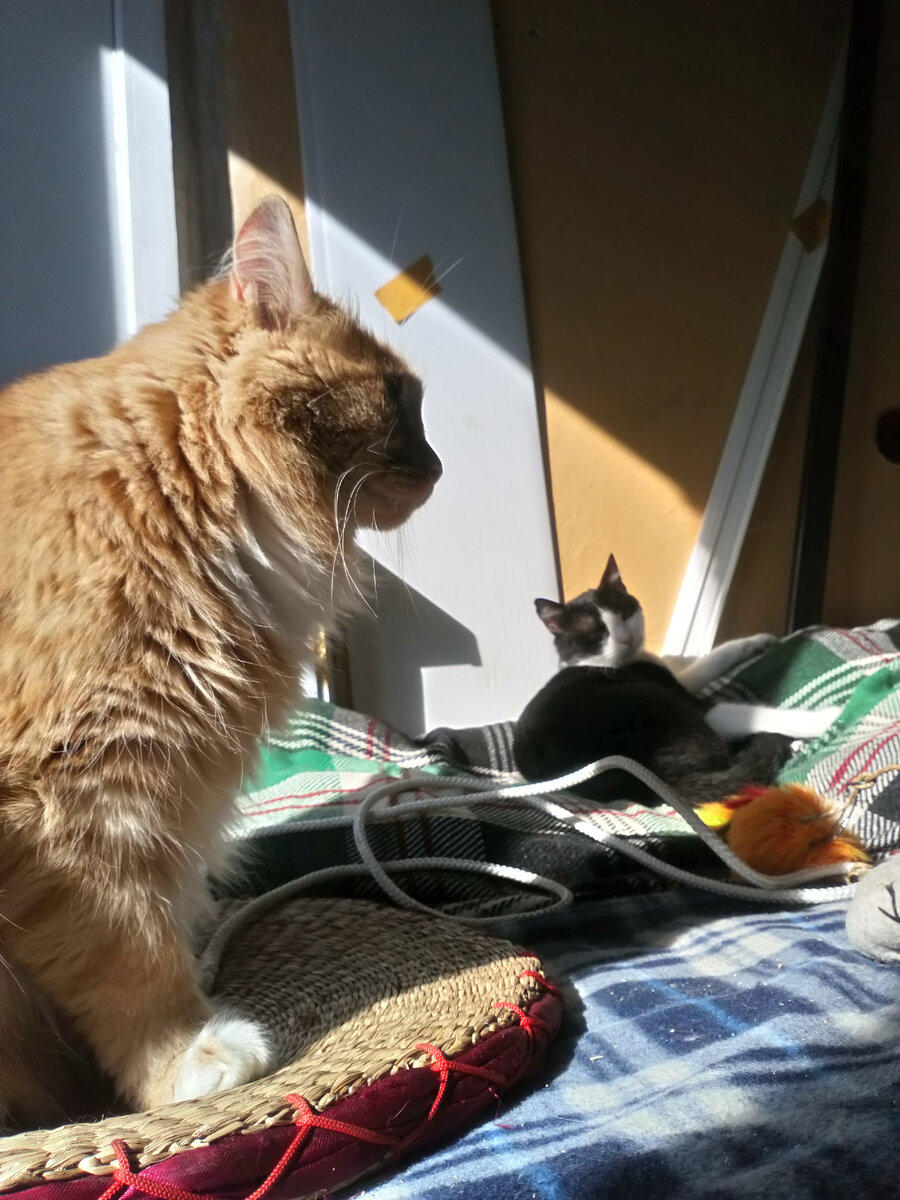 Спи, а то рассказывать не буду