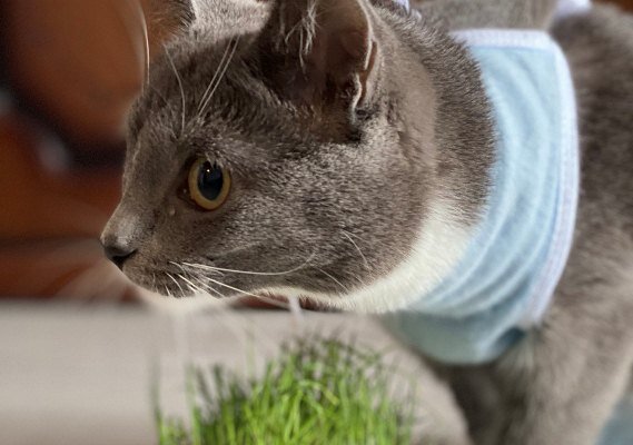 Фото: "Говорит Москва"