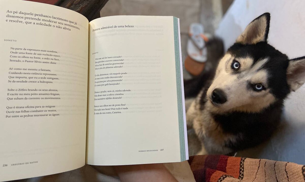 В моей библиотеке, наконец, появился большой и солидный том Грегориу де Матоса