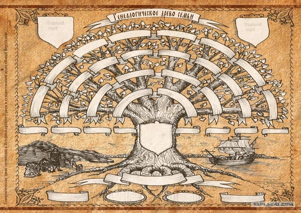 Как нарисовать древо рода до 7 колена