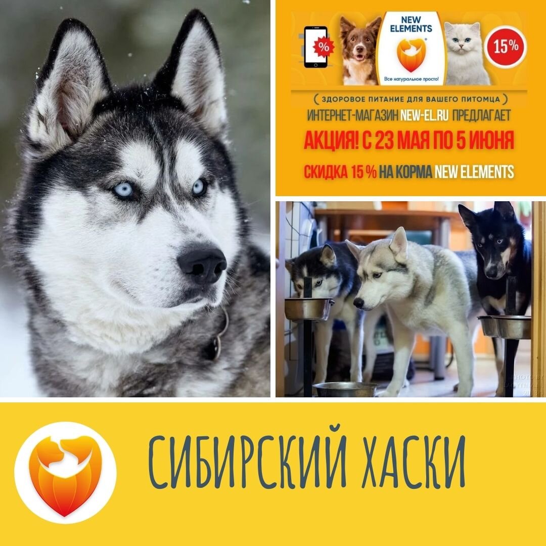 Подпишись в наш канал и получай полезную информацию ежедневно!