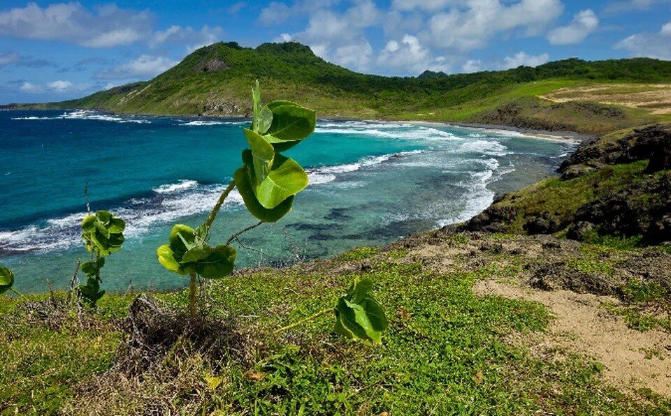     Канада и Дания спустя почти полвека договорились о статусе острова Ганза. Фото: TripAdvisor