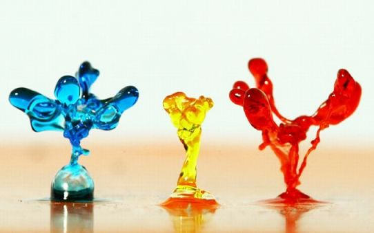 Фото из свободных источников