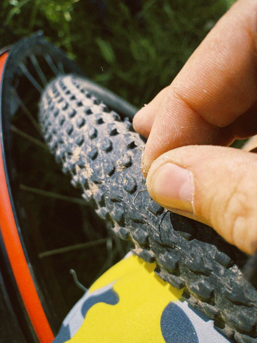 Виновница торжества 