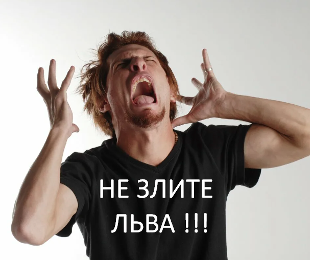 Фото из открытого источника Яндекс 
