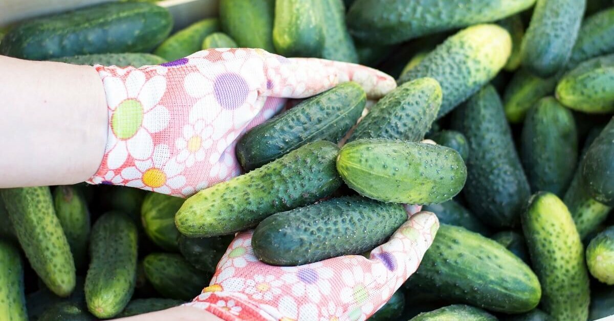 Добавьте описание