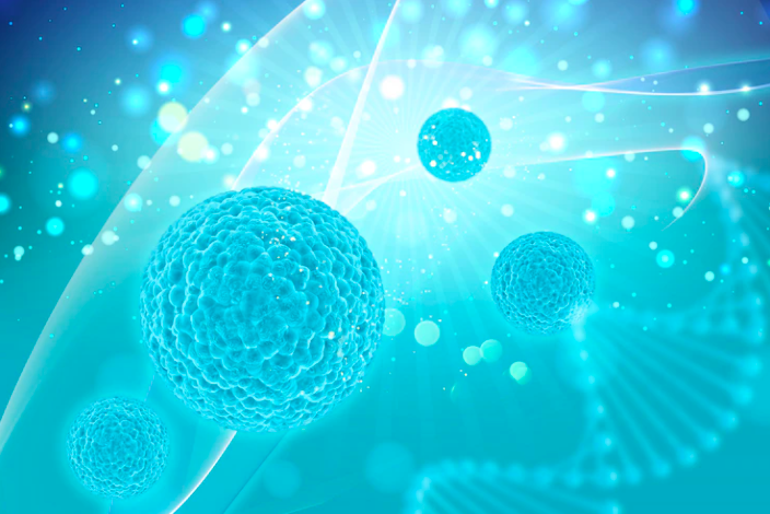     Пробиотики и пребиотики: в чем разница и зачем они нужны