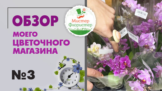 #3 Новые растения, новые впечатления. Обзор мастерской