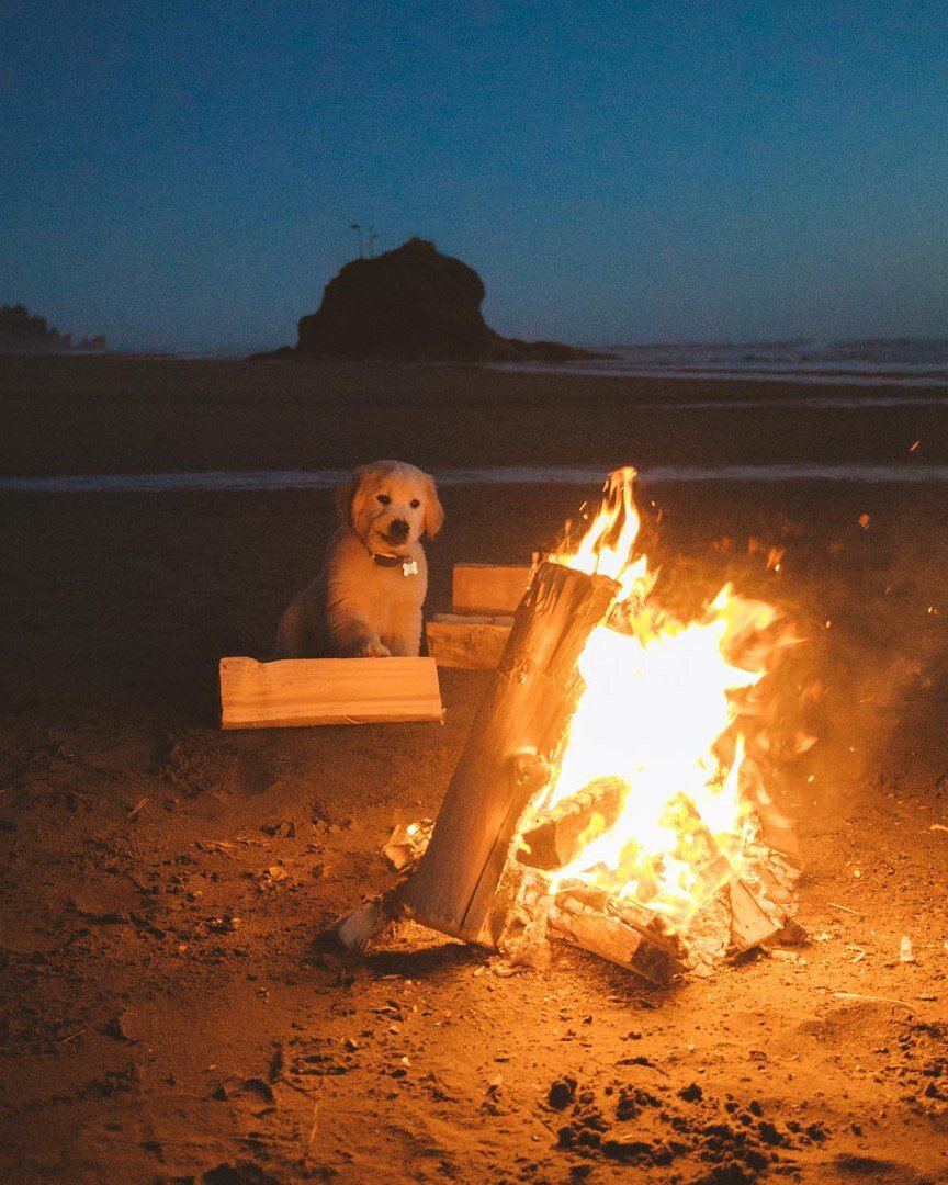 Просто фото из интернета