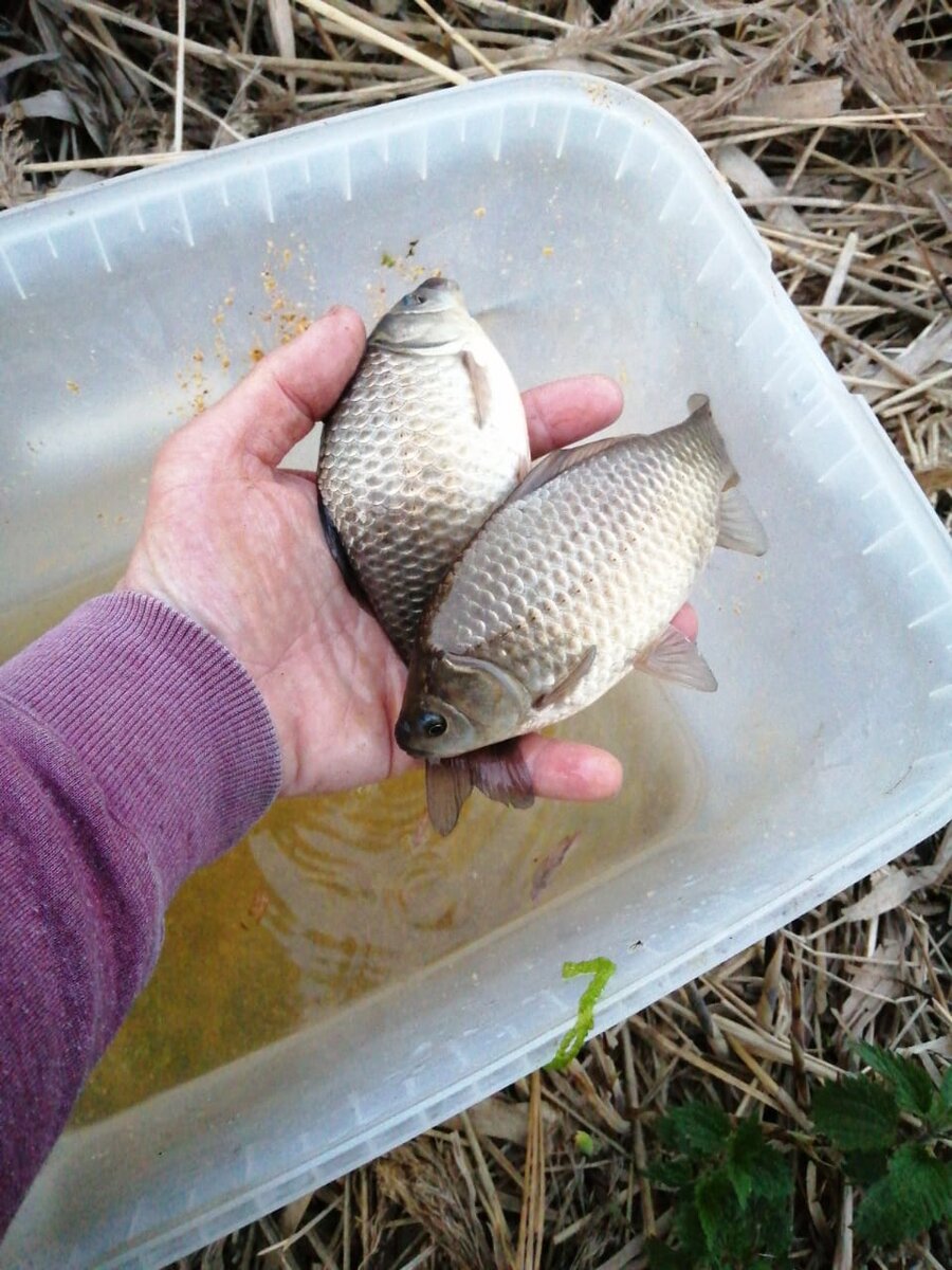 Первая добыча