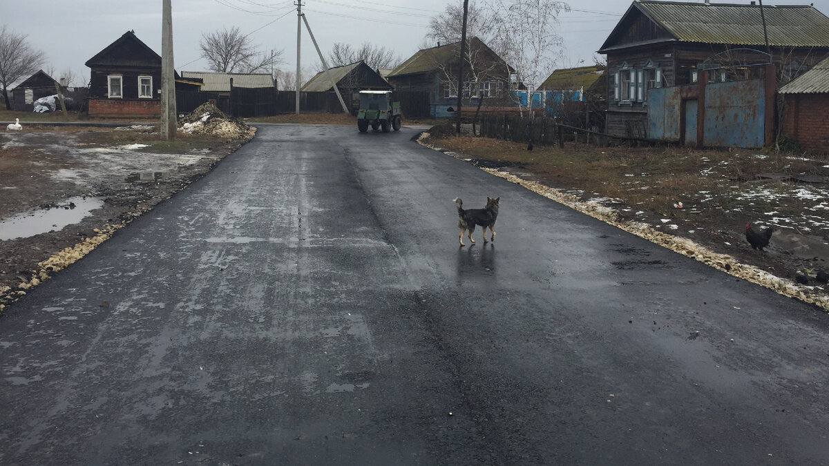 Даже если лужи вплотную подступают к дороге, фосфогипс защитит поверхность от морозного пучения