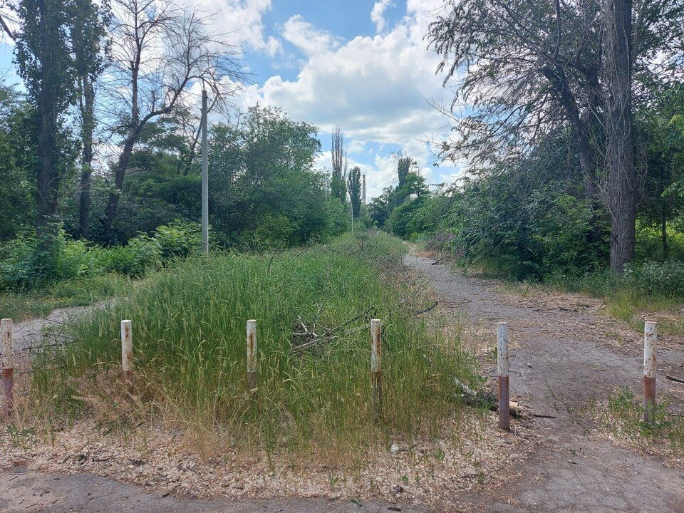     В парке сделают новые дорожки и высадят молодые деревья. Инна ШЕРЕМЕТЬЕВА