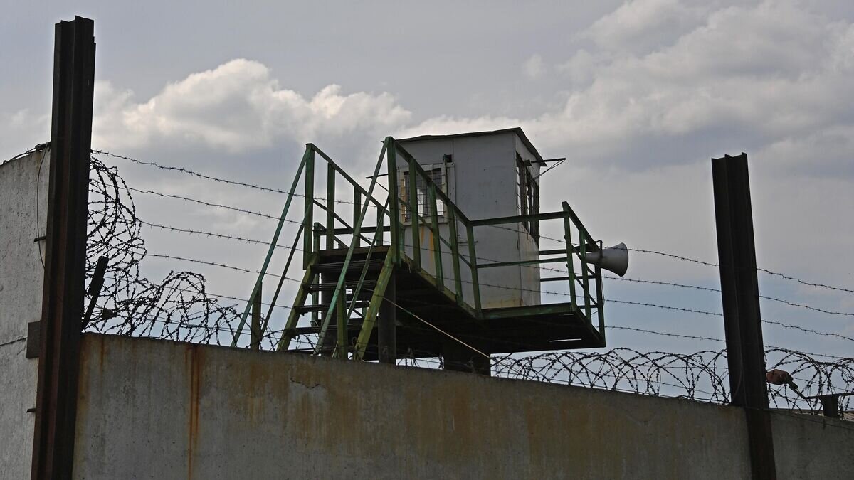    Следственный изолятор в Еленовке, по которому ВСУ нанесли удар© РИА Новости