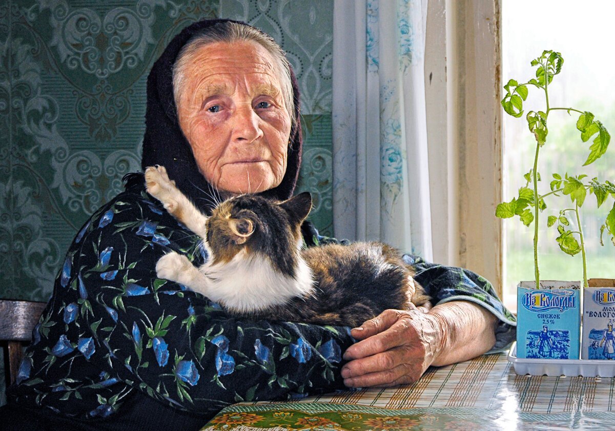 Из свободного доступа