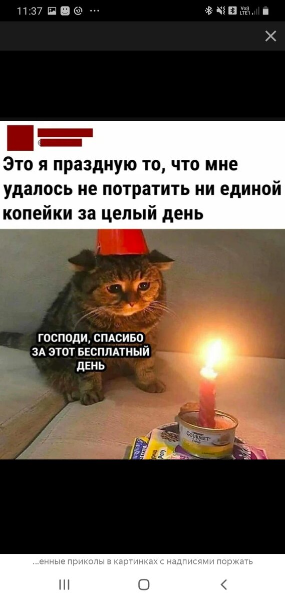 Милы котёнок 