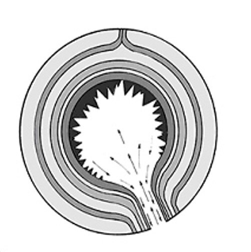 Работа канала в обе стороны. На вход и выход.