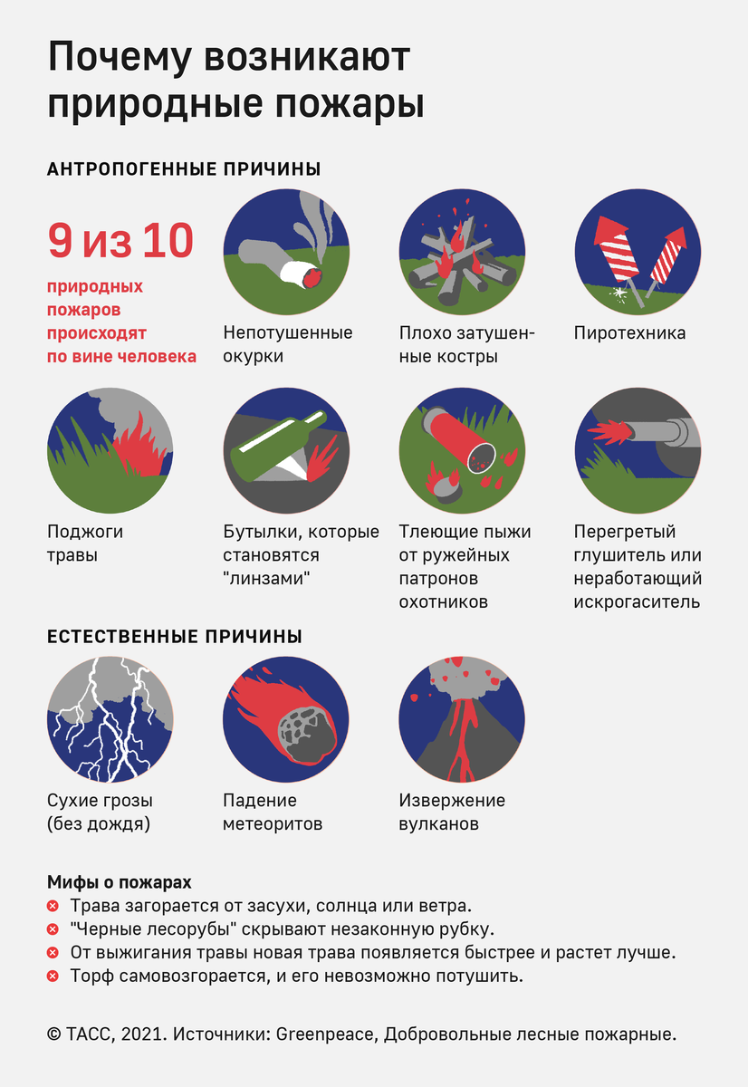 Площадь лесных пожаров в Югре за сутки выросла до 425 га | ТАСС | Дзен