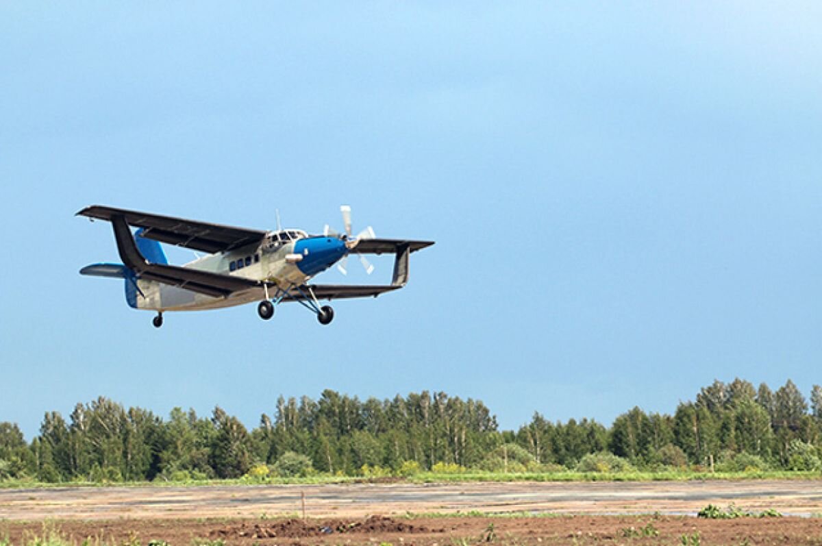    «Известия»: малая авиация РФ может столкнуться с нехваткой самолетов