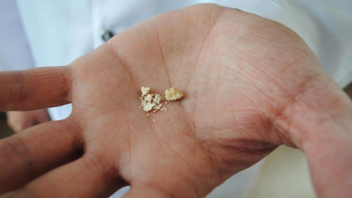 © photo credit by ru.freepik.com