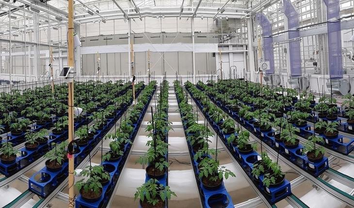    Исследования растений вступают в новую эру автоматизации и большого количества данных