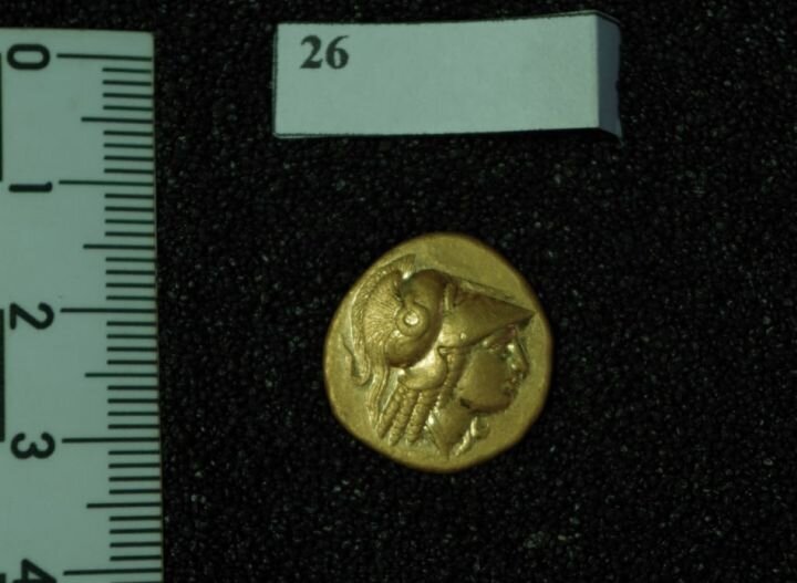 Золотая монета эпохи Александра Македонского из города Мирмекий. Источник: пресс-служба Эрмитажа.