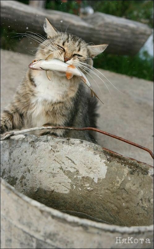 Фото: reddit.com