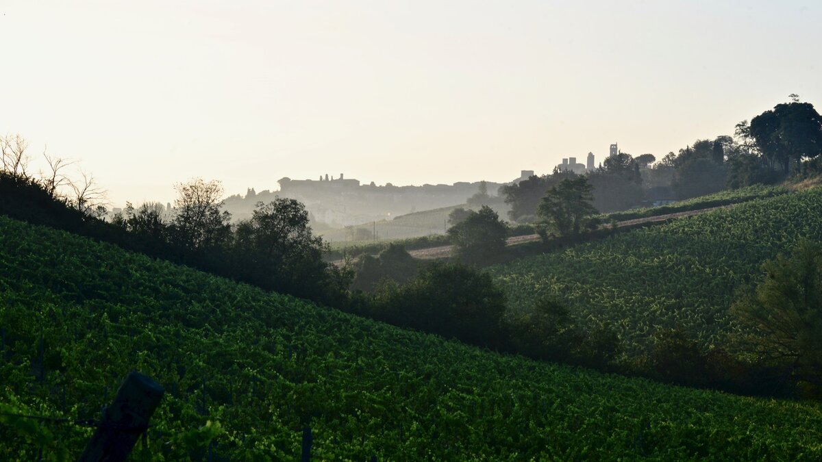 Фото Fattoria di Fugnano