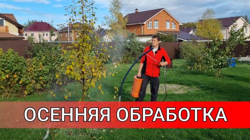 ИСКОРЕНЯЮЩАЯ ОБРАБОТКА НЕ ВСЕГДА ЗЛО КАК КОГДА И ЧЕМ ОБРАБОТАТЬ САД ОСЕНЬЮ