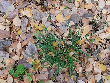 Фотография из личного архива автора