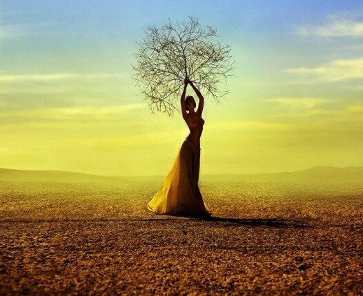 с сайта Интересные факты