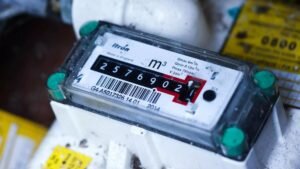    Фото: bruegel.org Ирина Амелина