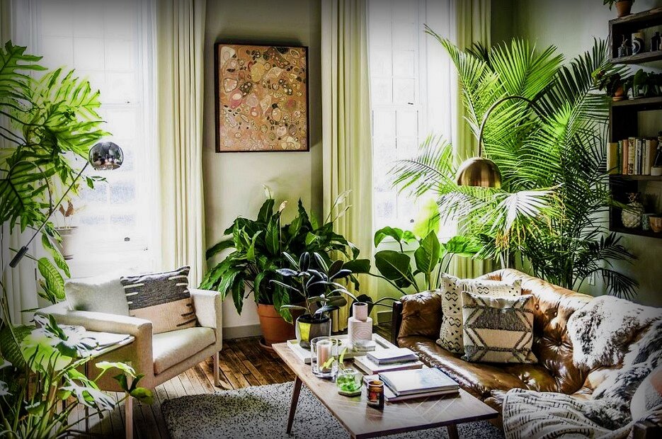 Фото – bomsaz.com 