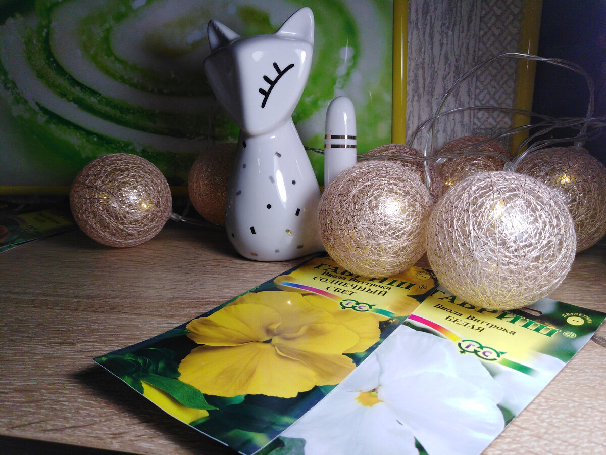 Для цветника в Подберезье - Белая и Солнечный свет