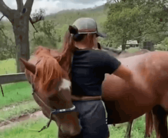 Фрагмент видео взято из открытого источника