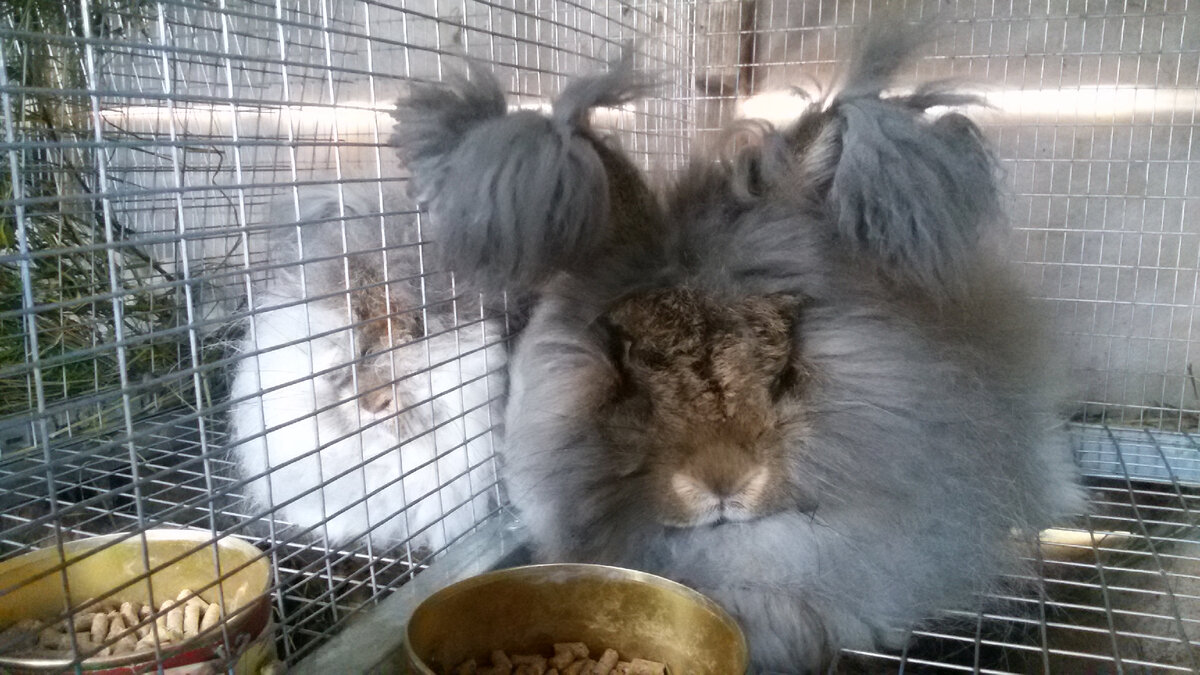 Вроде каждый у себя, а пообщаться всё же можно)) 