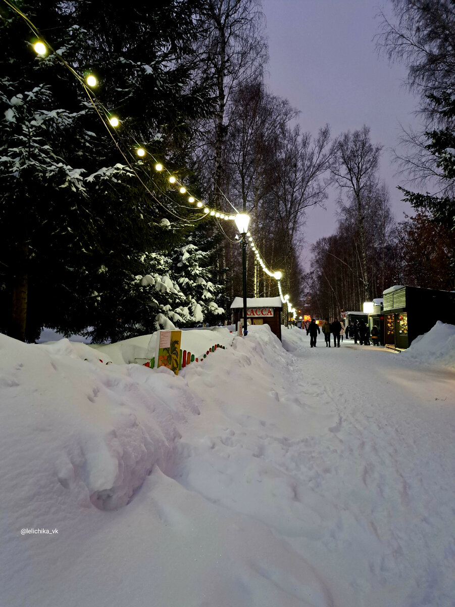 Ёлки в Березовой роще🎄 | Прогулки по городу N. | Дзен